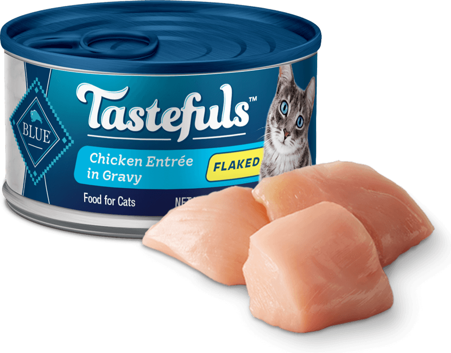 BLUE Buffalo Cat Food Reviews